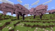 Cherry Grove is the newest biome in Minecraft (Image via Mojang Studios)